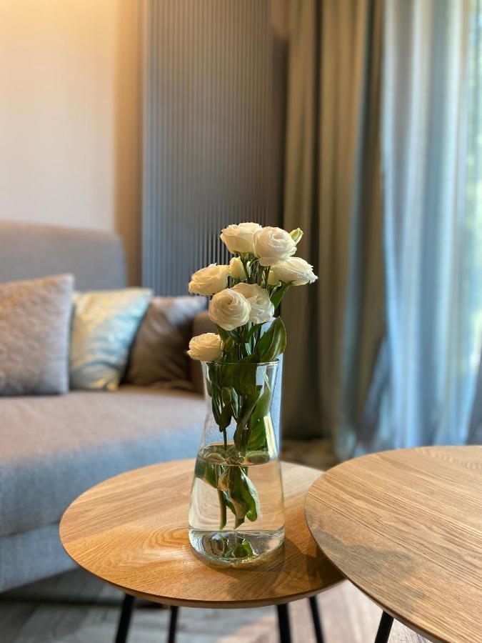 Апартаменти Loftowe M Apartament Poleska Ченстохова Екстер'єр фото